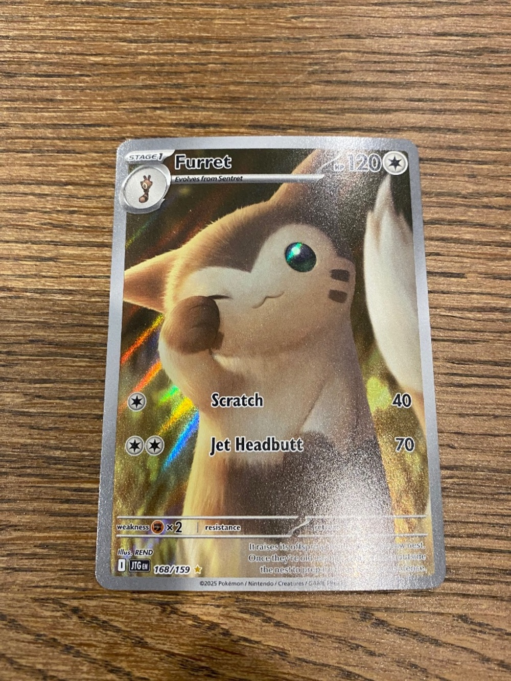Pokemon Furret Illustration Rare Journey Together Full Art